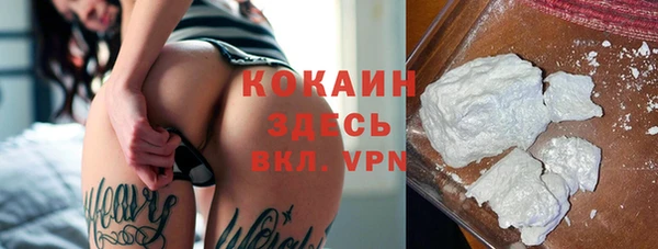 шишки Краснотурьинск