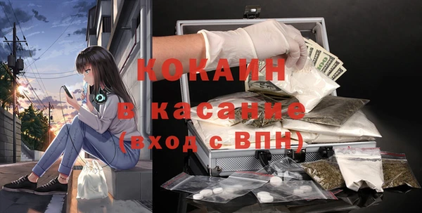 шишки Краснотурьинск