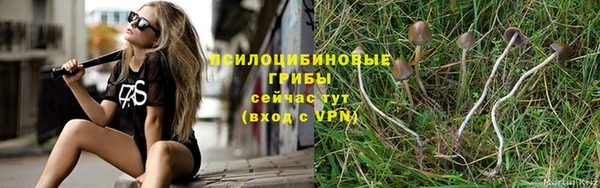 spice Братск