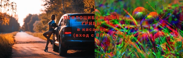 spice Братск