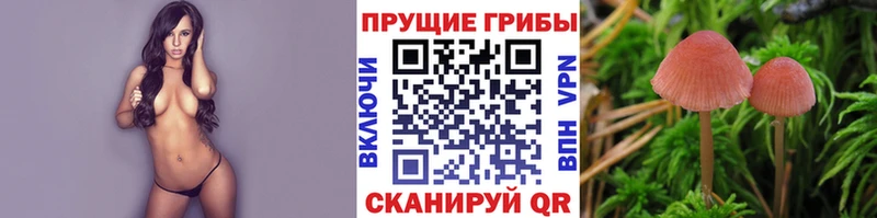 Псилоцибиновые грибы прущие грибы где купить наркоту shop официальный сайт Прохладный