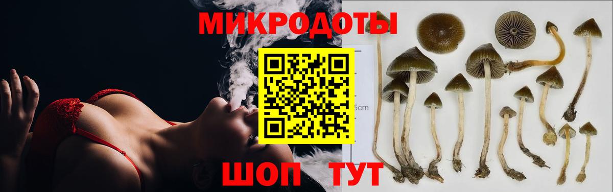 Галлюциногенные грибы Psilocybe  Псилоцибиновые грибы мицелий  Вход с VPN  Прохладный 